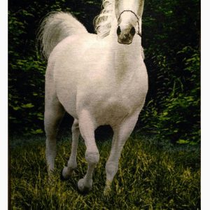 تابلوفرش دستباف طرح اسب سفید